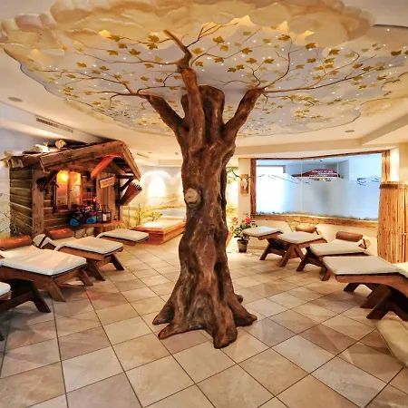 Chesa Monte Apart-hotel 4*